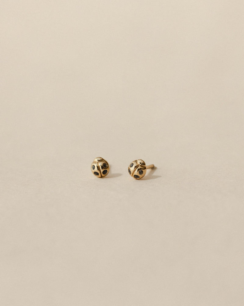 Ladybug Studs